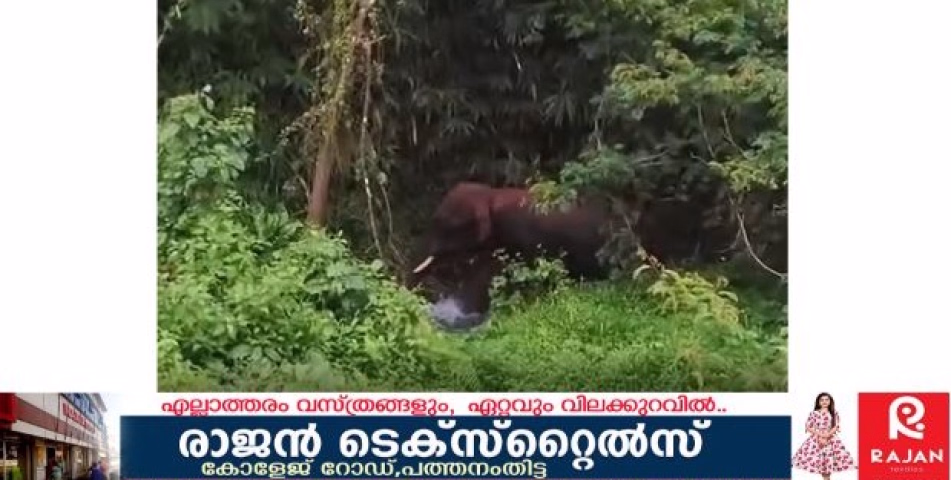 കാട്ടാനശല്യം രൂക്ഷം, ജനങ്ങൾ ഭീതിയിൽ;ഡ്രോൺ നിരീക്ഷണവും പരാജയപെട്ടു 
