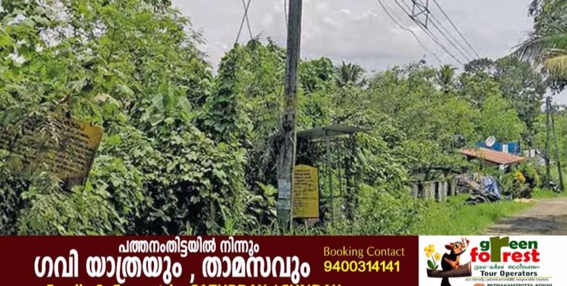 സ്വകാര്യ വ്യക്തികളുടെ വസ്തുവിൽ കാട് തെളിക്കണമെന്ന് അറിയിക്കുമ്പോഴും സർക്കാർ വസ്തുവിൽ കാട് തെളിക്കാതെ അധികൃതർ.