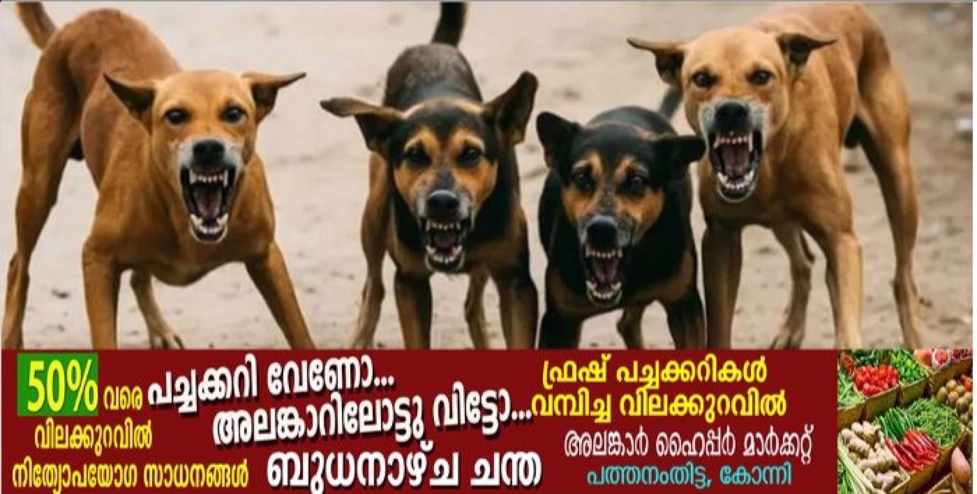 തെരുവു നായ നാട്ടുകാരെ വീണ്ടും ആക്രമിച്ചു; കുഞ്ഞിന്റെ കാൽ കടിച്ചു കീറിയ ; നിരവധി പേർക്ക് പരുക്ക്