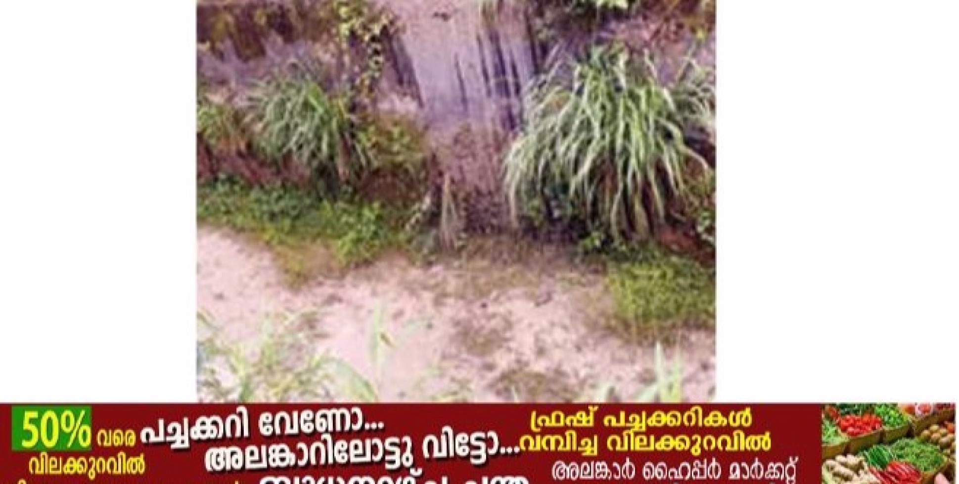   ശൗചാലയമാലിന്യം കനാലിൽ തള്ളുന്നു