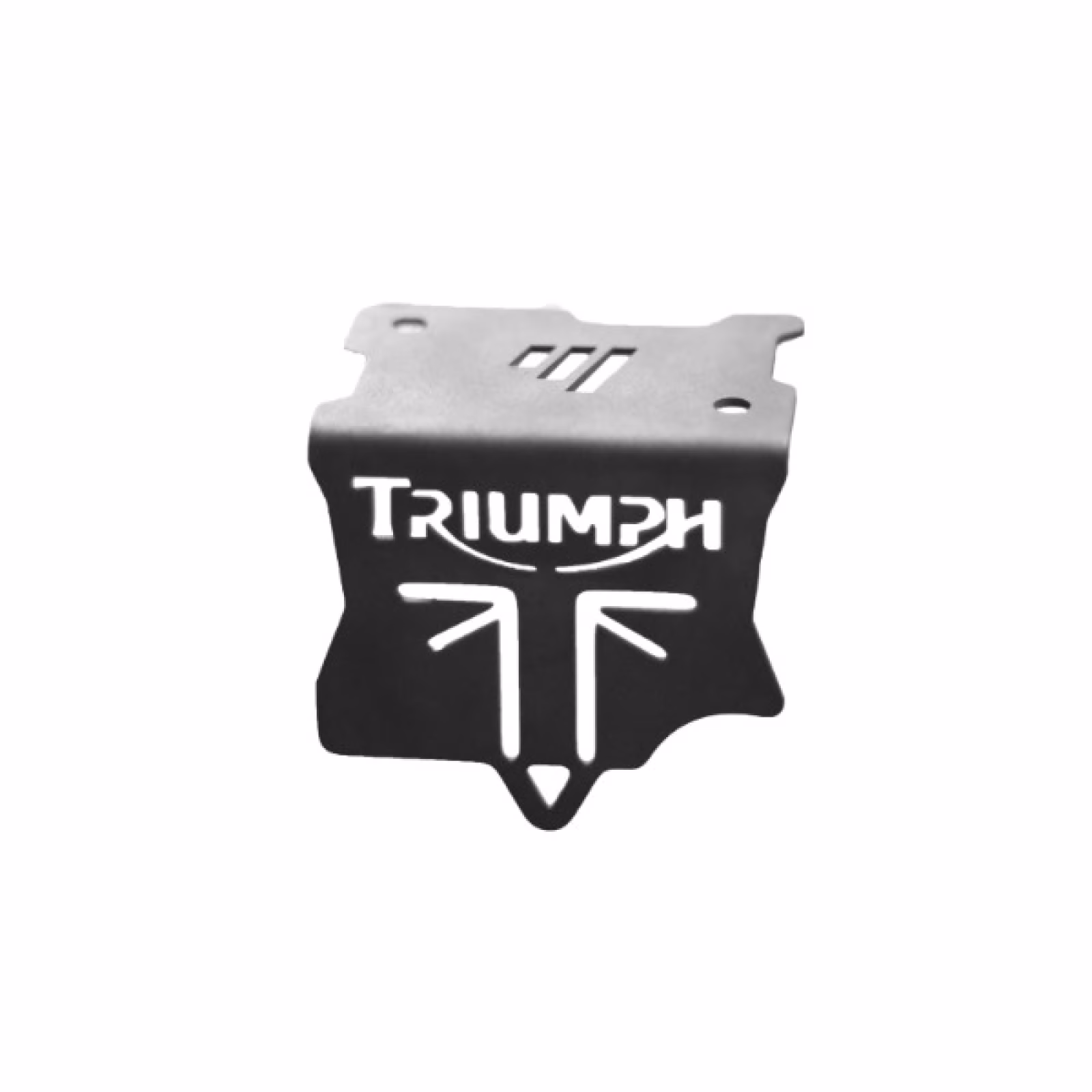 Triumph Speed 400 Front Disc Oil Cap SS