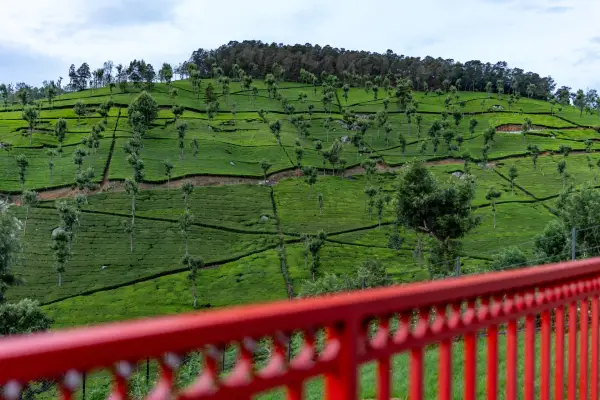 Glenside, Coonoor