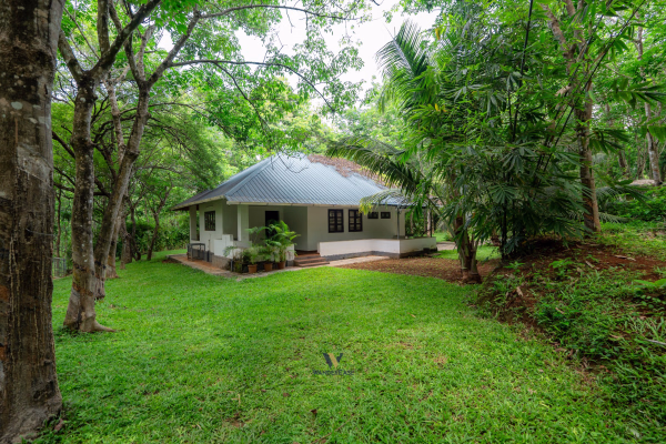 NJT Agro Farm, Vadakkencherry, Palakkad