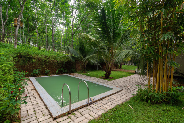 NJT Agro Farm, Vadakkencherry, Palakkad