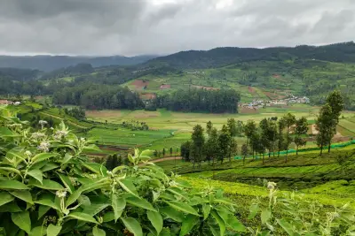 How Many Days Are Required to Visit Ooty and Coonoor?