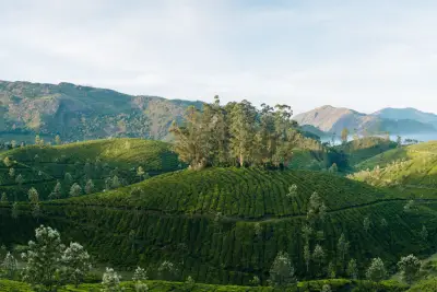 Which is the Best Month to Visit Munnar?